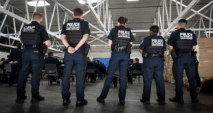 U.S. Government Jobs and How to Apply